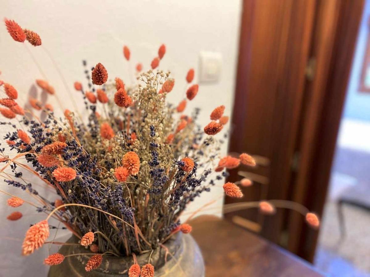 Casa Maribel Onís Dış mekan fotoğraf